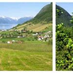 Nasjonale turistveier gror igjen.