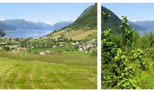 Nasjonale turistveier gror igjen.