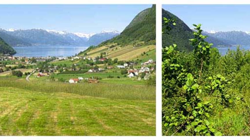 Nasjonale turistveier gror igjen.