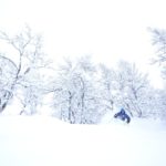 SkiStar Hemsedal: Champagnepudder!