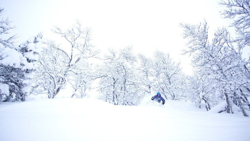 SkiStar Hemsedal: Champagnepudder!