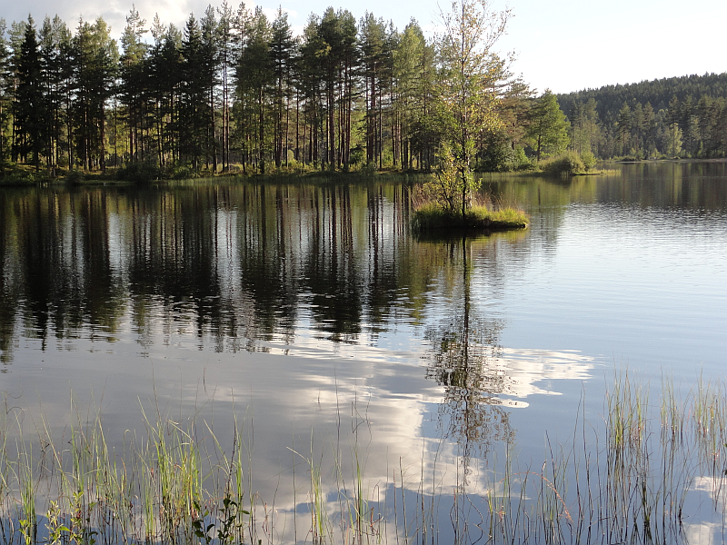 Ciekawostki o Norwegii