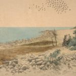 Unike tegninger stilles ut i Nasjonalgalleriet: Theodor Kittelsens Jomfruland
