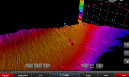 Panoptix™ All-Seeing Sonar