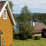 Farvel til soppen