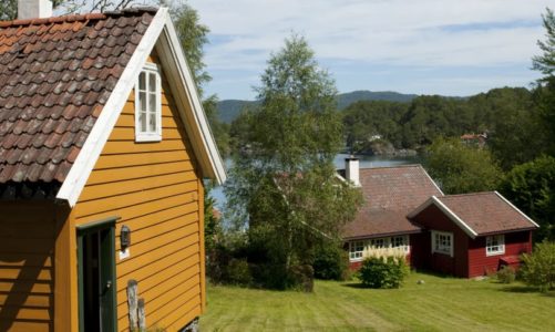 Farvel til soppen