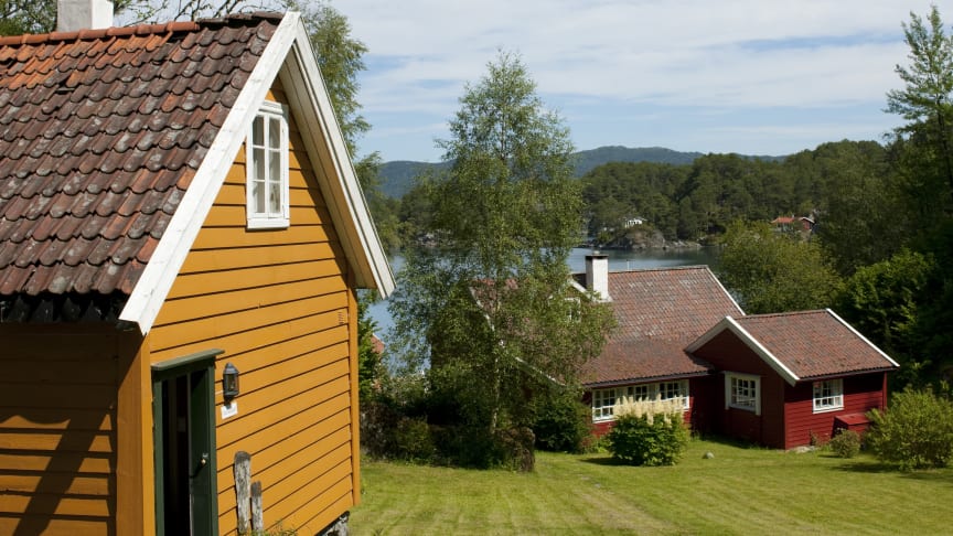 Farvel til soppen