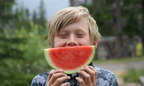 Familiedag med mange gratis aktiviteter til store og små