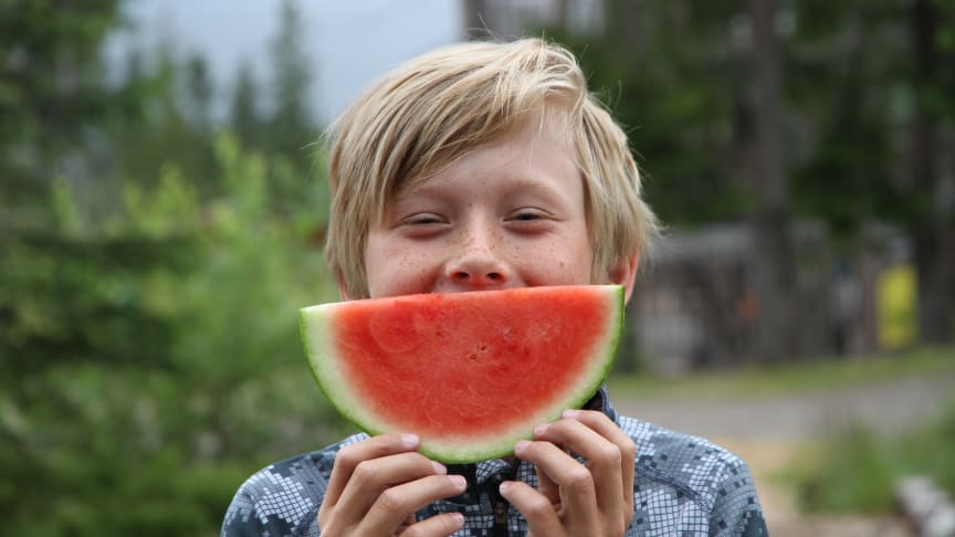 Familiedag med mange gratis aktiviteter til store og små