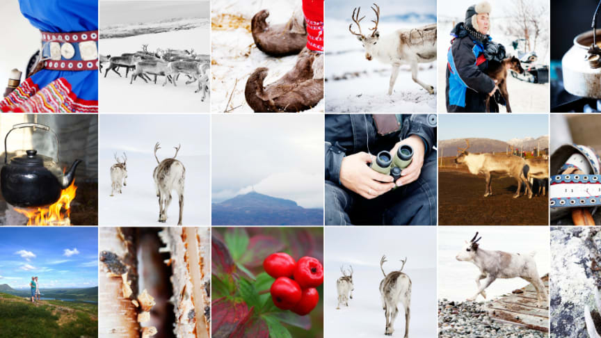 Bruker Instagram for å hylle reinsdyrnæringen: Jakter bilder og videoer fra folket