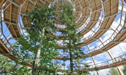 Avspark for kampanje „Fascinerende naturferie i Tyskland“