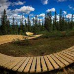Magisk (h)elg i Trysil