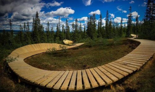 Magisk (h)elg i Trysil