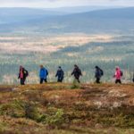 Vellykket rypeløp i Trysil