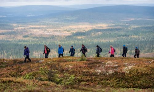 Vellykket rypeløp i Trysil