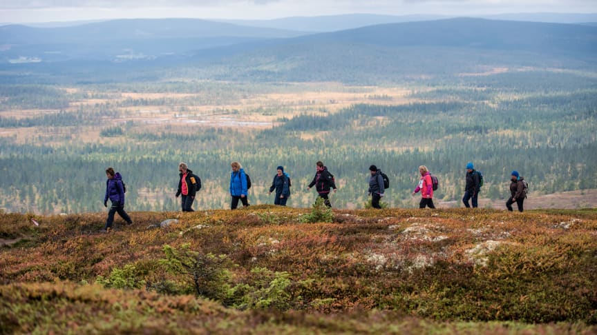 Vellykket rypeløp i Trysil