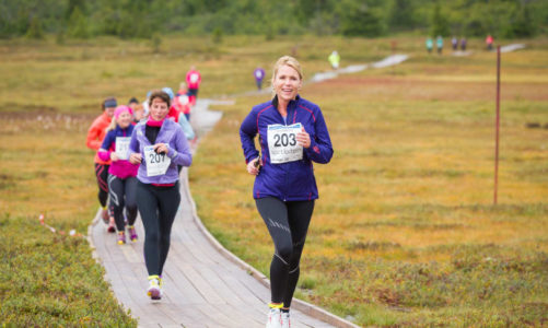 Rekordmange ryper til Trysil