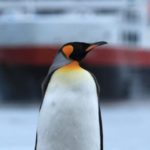 Peer Gynt Tours med ny brosjyre for turer med Hurtigruten