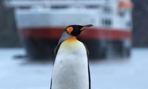 Peer Gynt Tours med ny brosjyre for turer med Hurtigruten