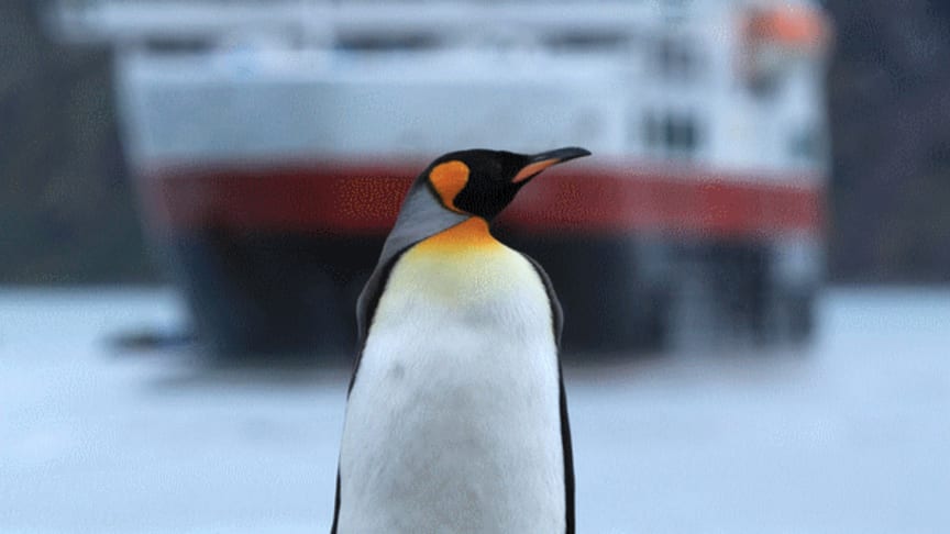 Peer Gynt Tours med ny brosjyre for turer med Hurtigruten