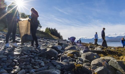 Hurtigruten med kjempedugnad: Rydder strender langs hele norskekysten