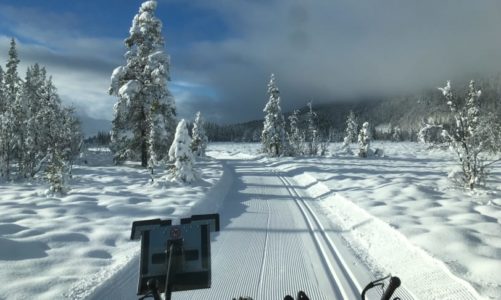 Nysnø og preparerte langrennsløyper i Hemsedal!