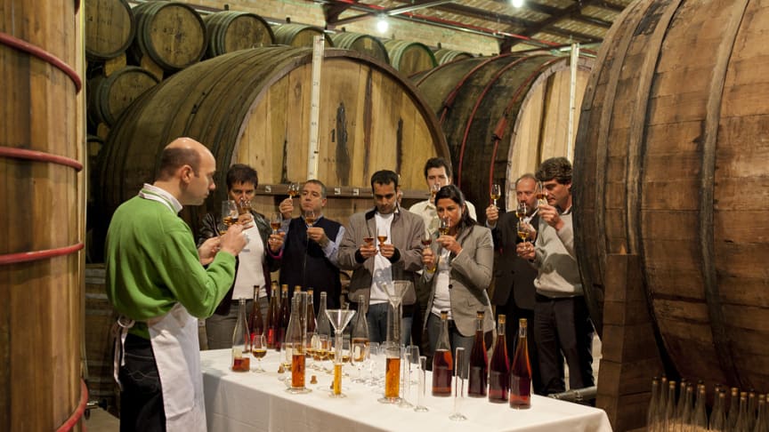 Familien Torres, anerkjent for deres erfaring innen vinreiser av World Food Travel Association