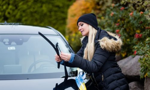 Vindusviskernes dag, tirsdag 13. november!