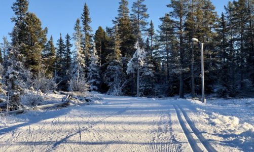 Skisesongen er i gang i Hemsedal!