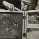 Salvador Dalí, med kvinnelige fotografers blikk