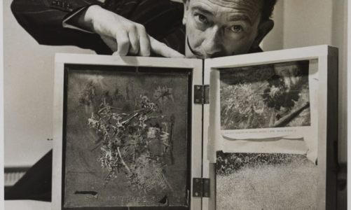 Salvador Dalí, med kvinnelige fotografers blikk