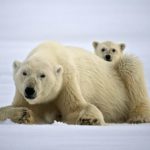 ​Hurtigruten Foundation funds local communities and projects