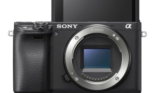 Sony Celebrates Fantastic Five at 2019 TIPA awards