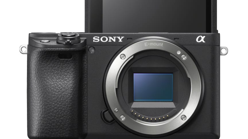 Sony Celebrates Fantastic Five at 2019 TIPA awards