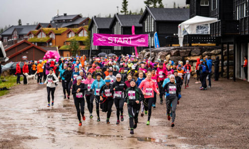 Delt førsteplass i årets Trysilrypa