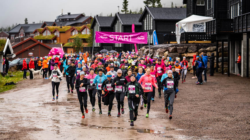 Delt førsteplass i årets Trysilrypa