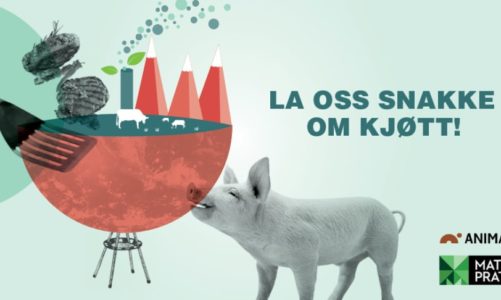 ​Dyrevelferd på agendaen på Dyrsku’n