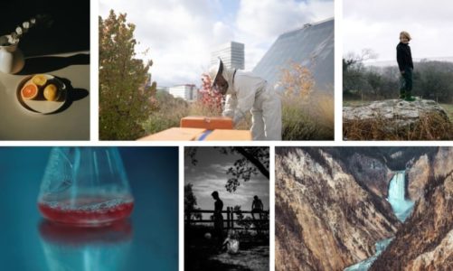 The World Photography Organisation announces today the shortlisted photographers in the Student competition and new information about photographic projects by Sony Student Grant 2019 recipients.