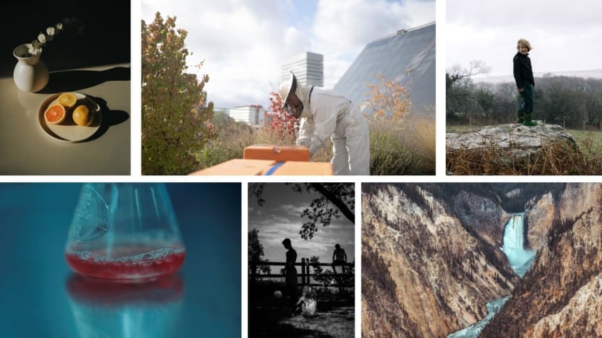 The World Photography Organisation announces today the shortlisted photographers in the Student competition and new information about photographic projects by Sony Student Grant 2019 recipients.