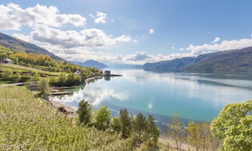 Reiselivet i Hardanger tapar millionar