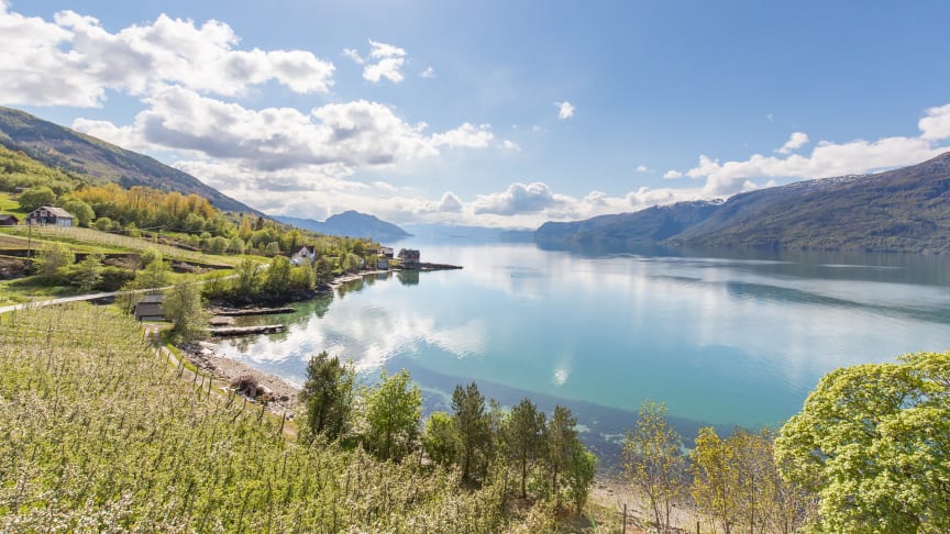 Reiselivet i Hardanger tapar millionar