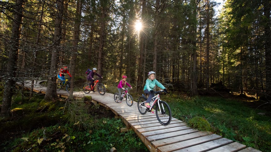 Norges nye sommerfavoritt – sykkelparadiset Trysil