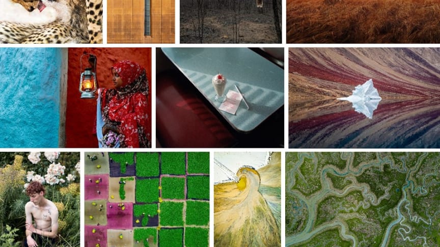 Sony World Photography Awards – OPEN category winners and shortlist