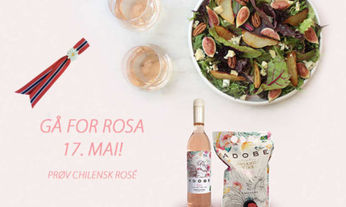 Gå for rosa 17. mai i år!