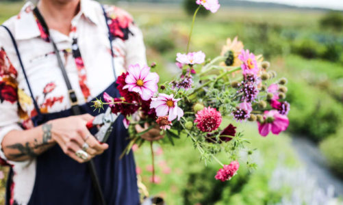 Slow flower – blomsteropprøret i Sverige