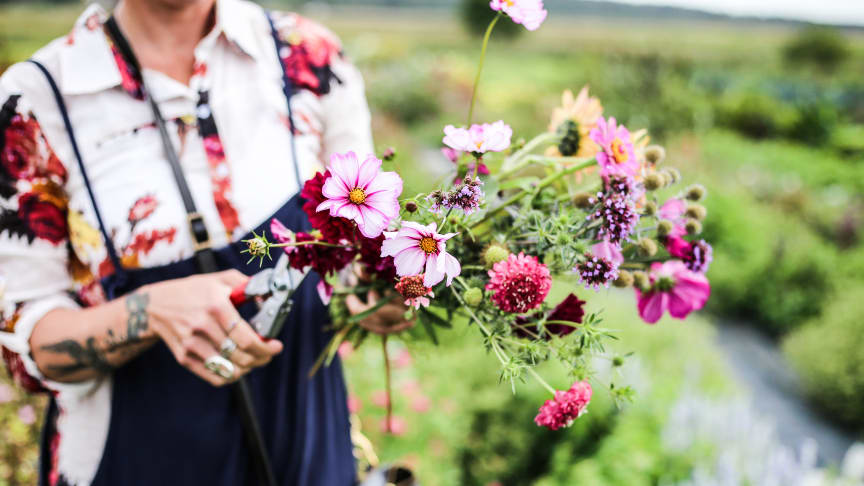 Slow flower – blomsteropprøret i Sverige
