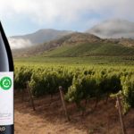 Djevelsk billig Pinot Noir fra Casablanca Valley