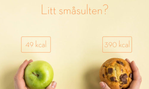 Slik blir du kvitt søtsuget etter ferien